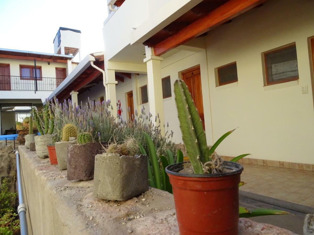Casa Cactus Cafayate Hotel Zewnętrze zdjęcie