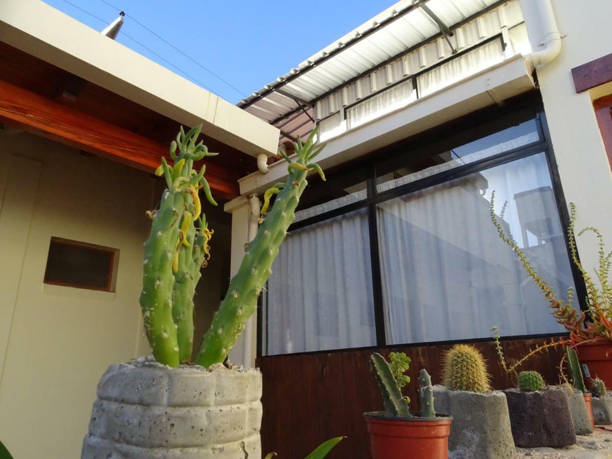 Casa Cactus Cafayate Hotel Zewnętrze zdjęcie