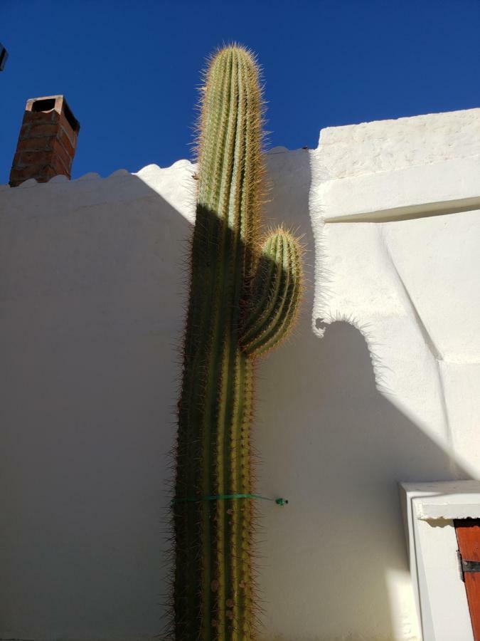 Casa Cactus Cafayate Hotel Zewnętrze zdjęcie
